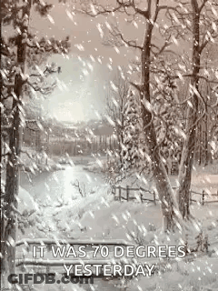 Snow In Woods Despite 70 Degrees GIF