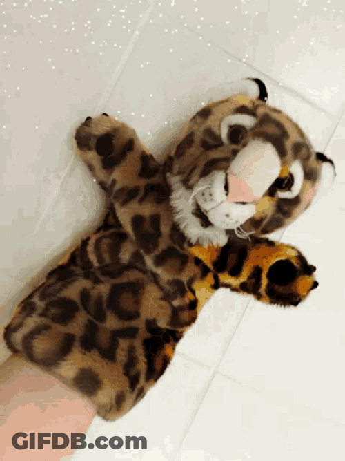 Snow Leopard GIF