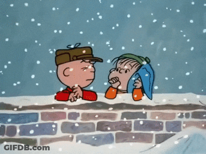 Snow Snow Day GIF