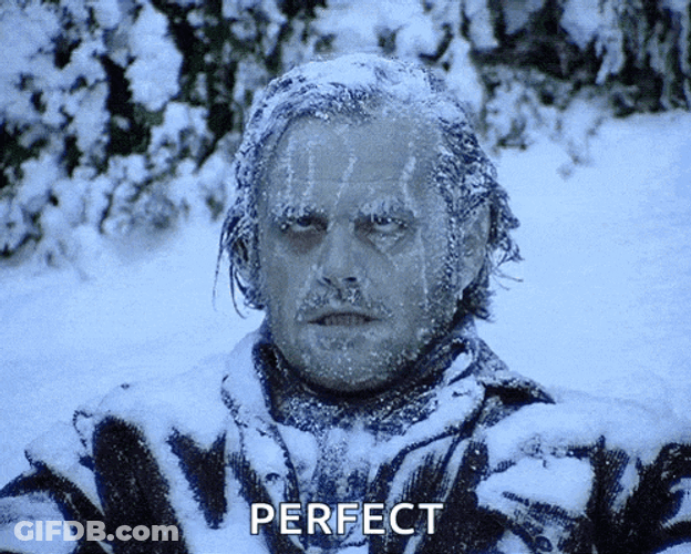 Snow Snow Day GIF