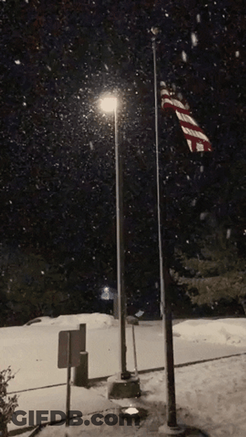 Snow Storm Falling On Lonely Post GIF