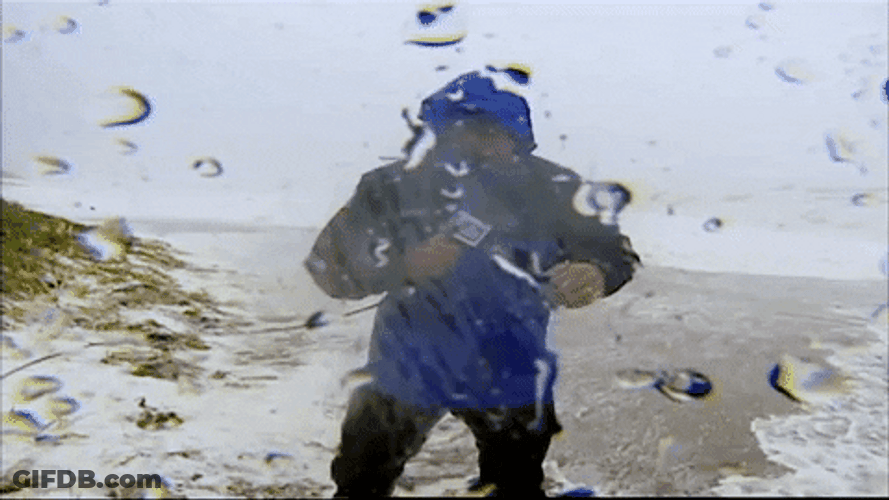 Snow Storm Reporter Jim Cantore GIF