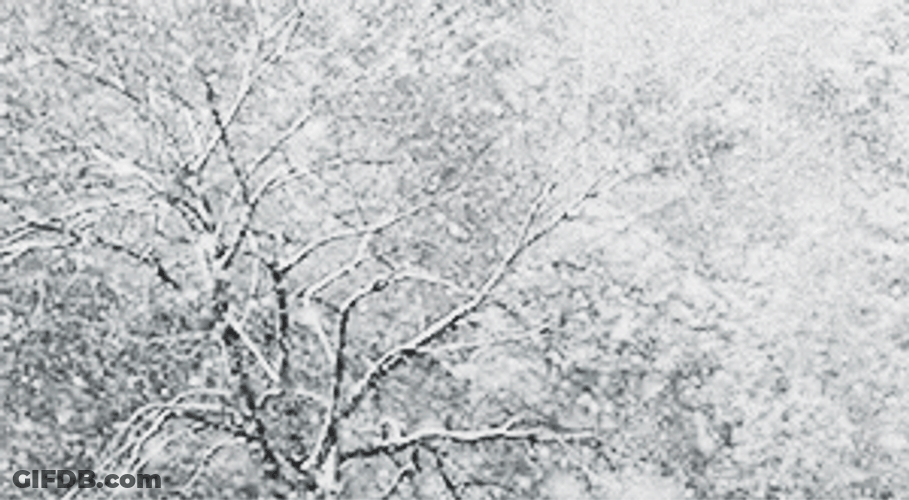 Snow Storm Snow Falling From Sky GIF