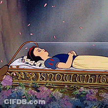 Snow White Is Laying In A Coffin With Petals Falling Around Her GIF