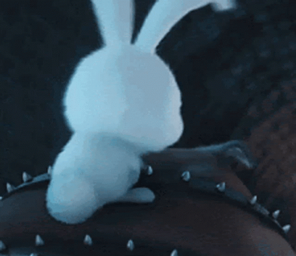 Snowball Angry Side Eye Secret Life Of Pets GIF