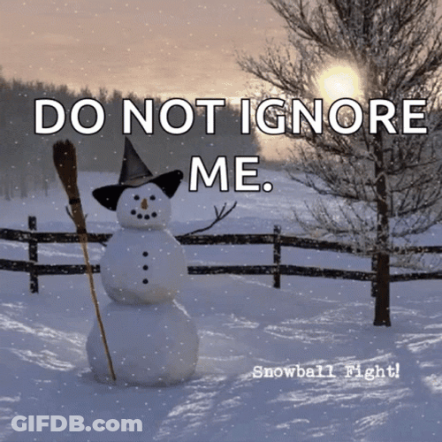 Snowball Fight Do Not Ignore Me GIF