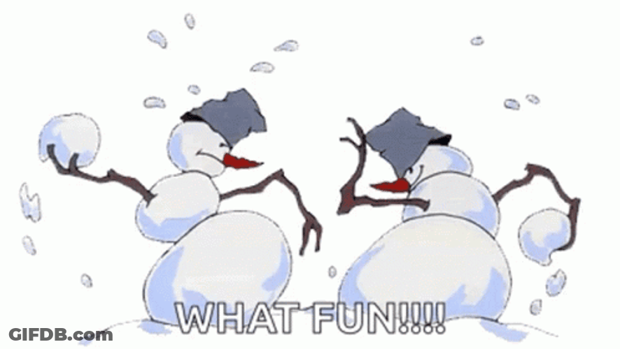 Snowball Fight What Fun GIF