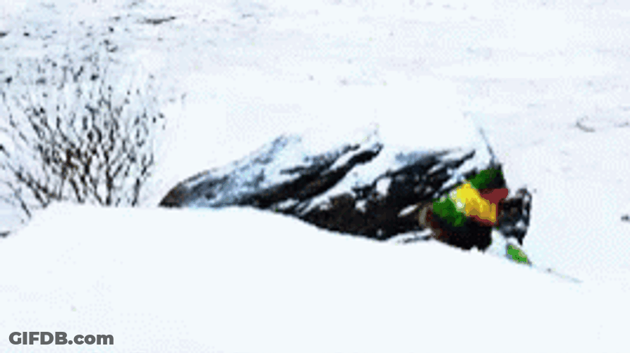 Snowball Fight Will Ferrell GIF