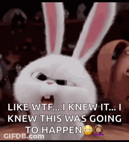 Snowball From The Secret Life Of Pets Saying Like WTF GIF