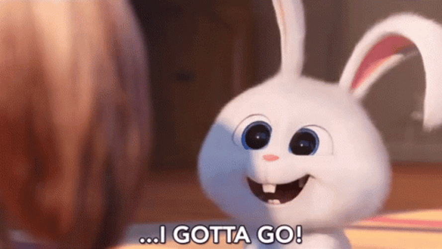 Snowball I Gotta Go GIF