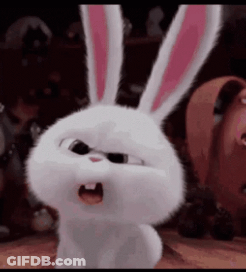 Snowball Iconic Confused What Did He Say GIF