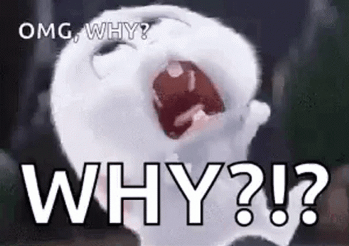 Snowball OMG Why GIF
