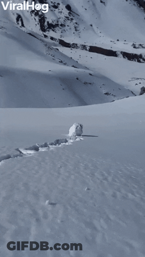 Snowball Rolling Winter Weather GIF