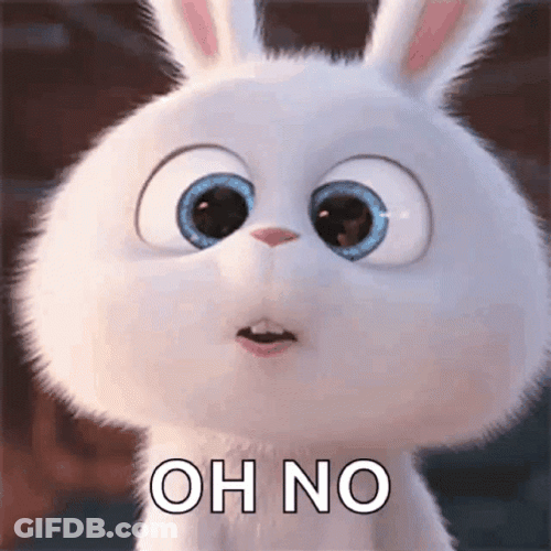 Snowball The Bunny Oh No GIF