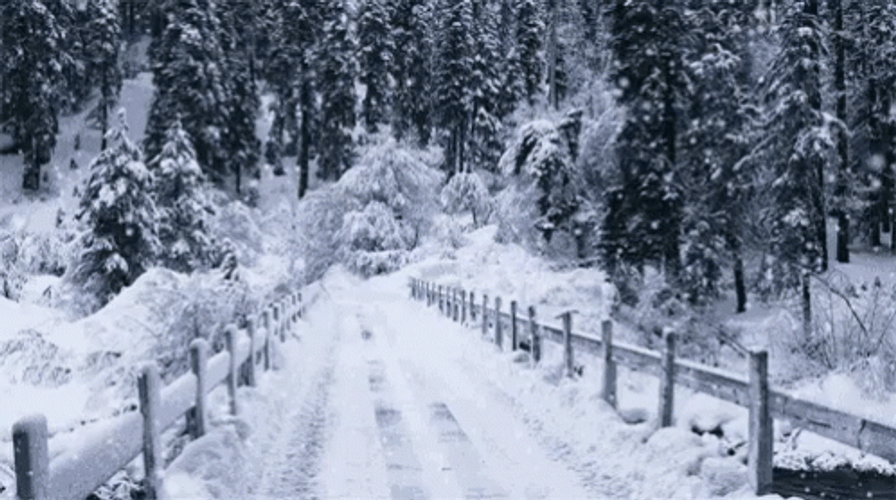 Snowfall On Your Way GIF