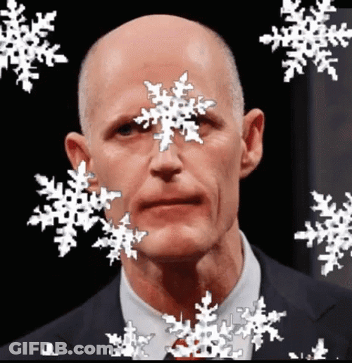 Snowflake Falling On Bald Man GIF