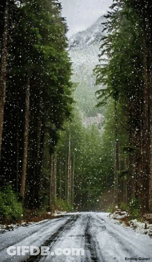 Snowflake Falling On The Road GIF