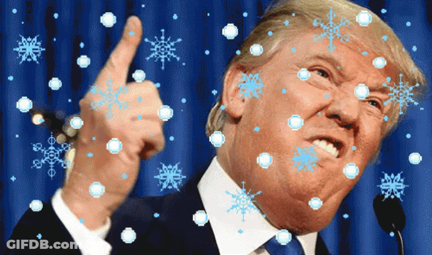Snowflake On Trump GIF