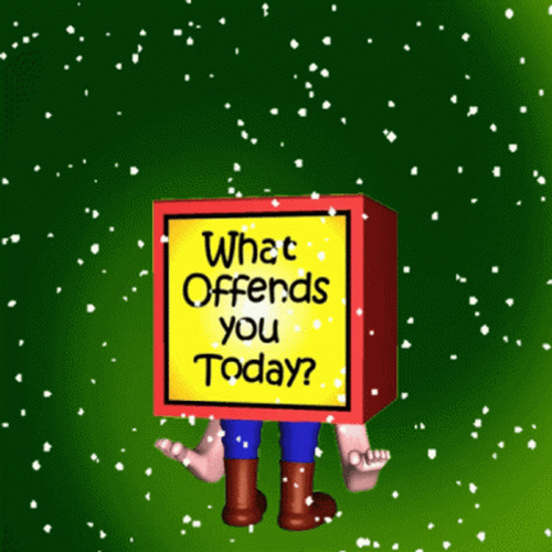 Snowflake What Offends You Today? GIF