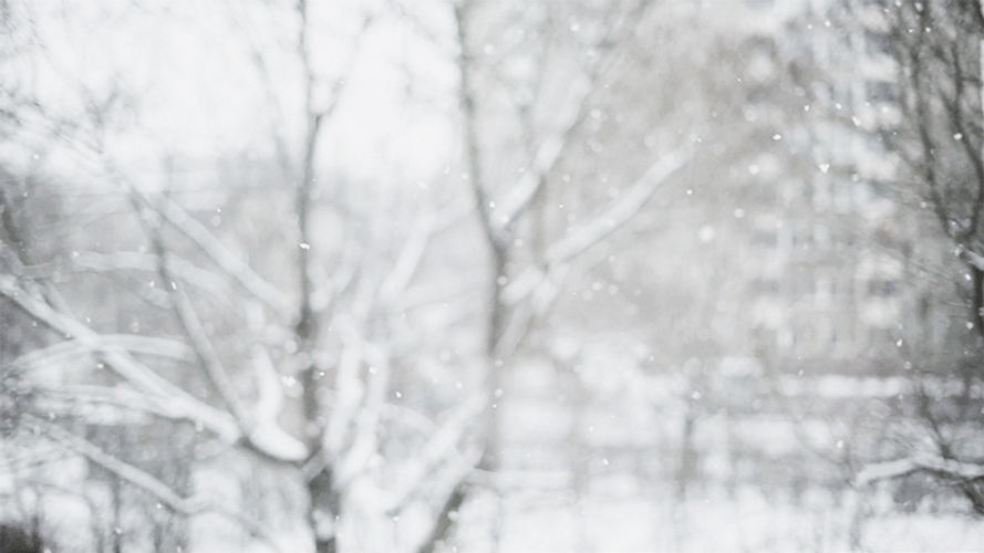 Snowing Enormously At The Park GIF