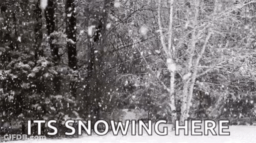 Snowing Excessively On Trees GIF