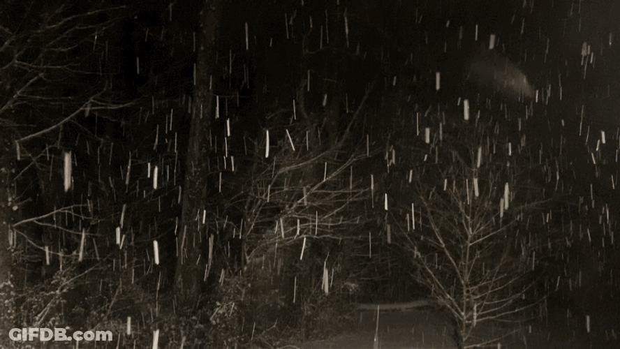 Snowing In Dark Forrest GIF