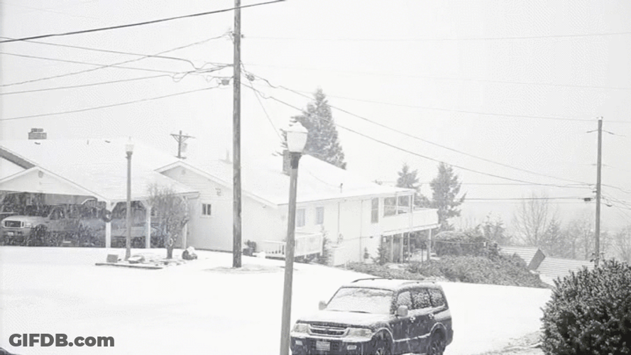 Snowing In Tacoma GIF