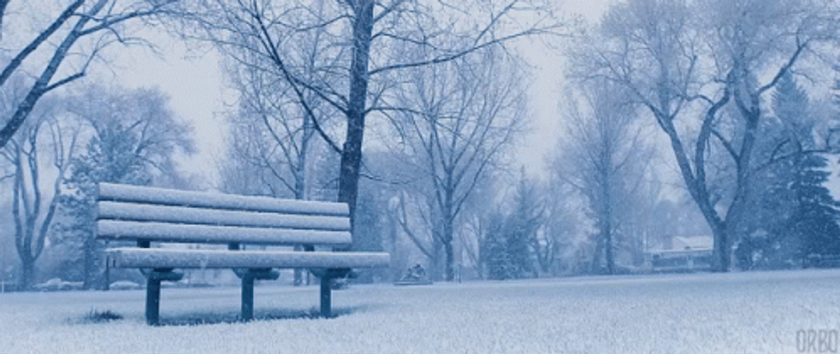 Snowing On Bench GIF