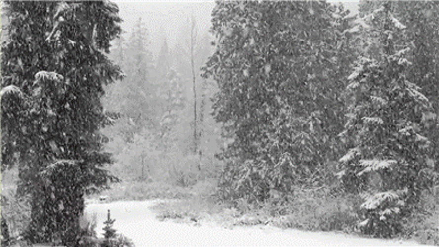 Snowing Tremendously At Park GIF