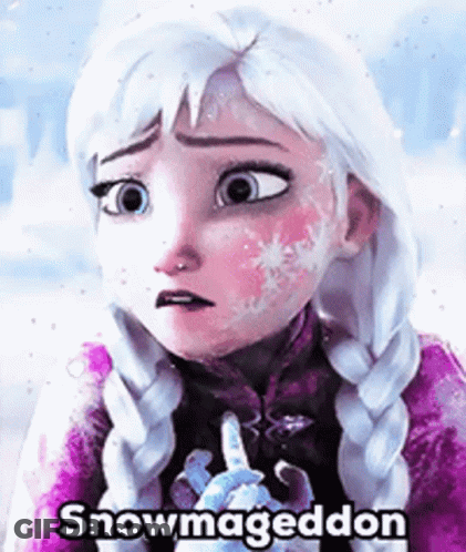 Snowmageddon Frozen GIF