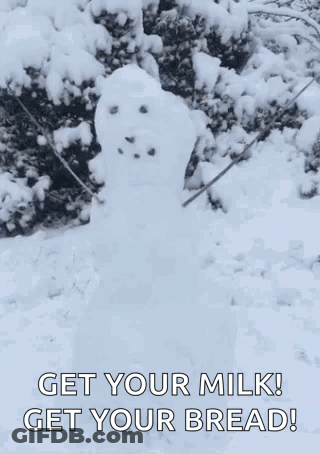 Snowman Saying Get Your Milk Get Your Bread GIF