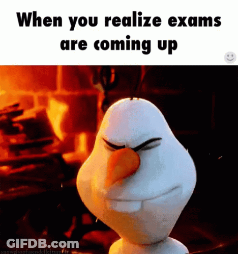 Snowman When You Realize Exams Are Coming Up GIF
