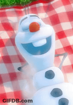 Snowman With Carrot Nose Laying On Checkered Blanket GIF