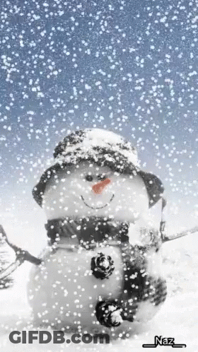 Snowman With Hat And Scarf Saying Naz GIF