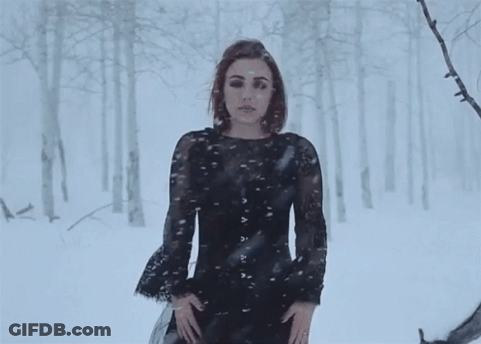 Snowy Blizzard Snowstorm Von Grey GIF