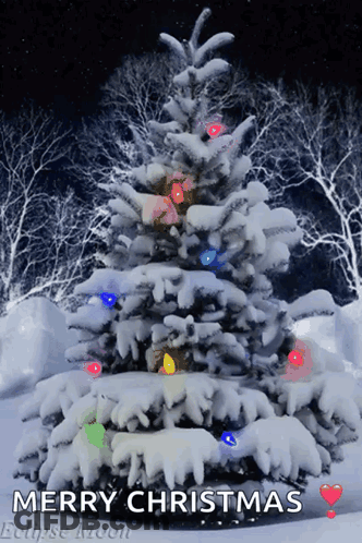 Snowy Christmas Tree With Lights Saying Merry Christmas Eclipse Moon GIF