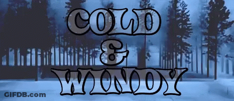 Snowy Forest Cold & Woody GIF