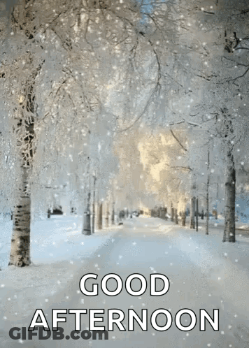 Snowy Forest Good Afternoon GIF