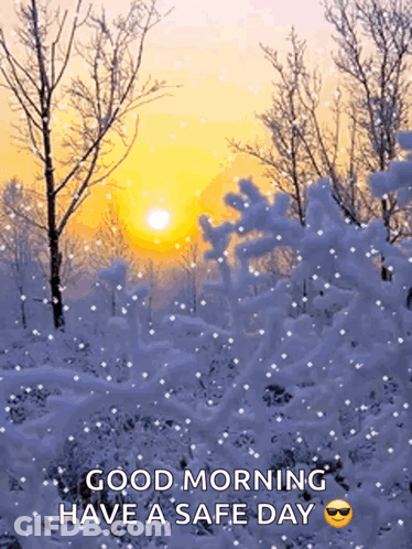 Snowy Forest Good Morning Have A Safe Day GIF