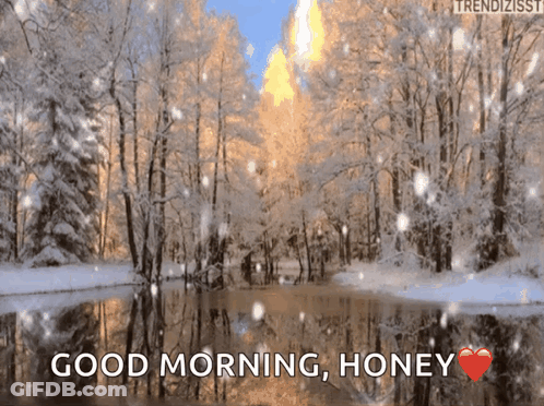 Snowy Forest Good Morning Honey GIF