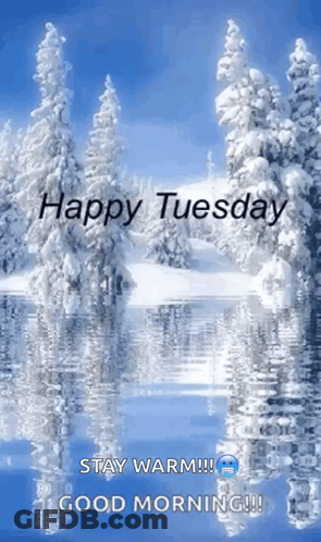 Snowy Forest Happy Tuesday Stay Warm Good Morning GIF