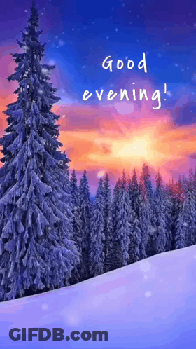 Snowy Forest Saying Good Evening GIF