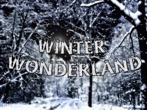 Snowy Forest Winter Wonderland GIF