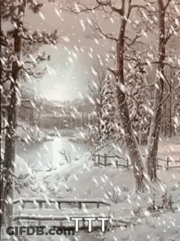Snowy Forest With Snow-Covered Trees And River GIF