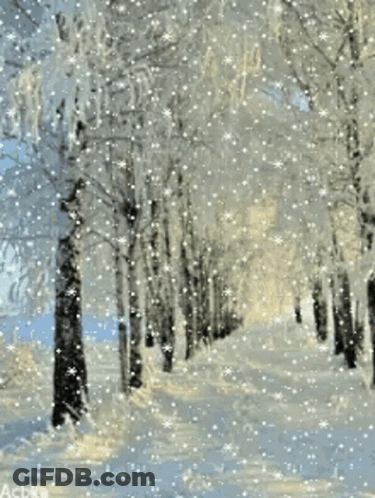 Snowy Forest With Snow-Covered Trees GIF