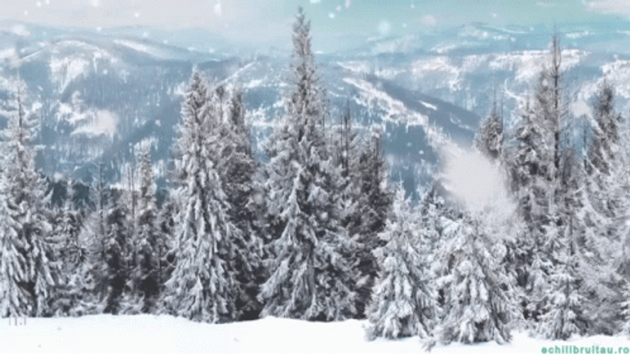 Snowy Hill Winter Wednesday GIF