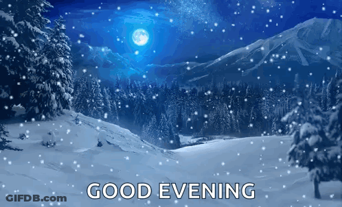 Snowy Landscape Good Evening GIF