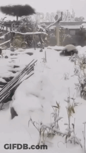 Snowy Landscape With Pantal Sign GIF