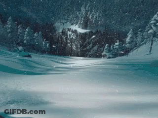 Snowy Landscape With Trees And Mountains GIF