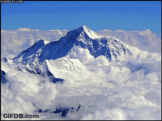 Snowy Mountain And Cat Meme GIF